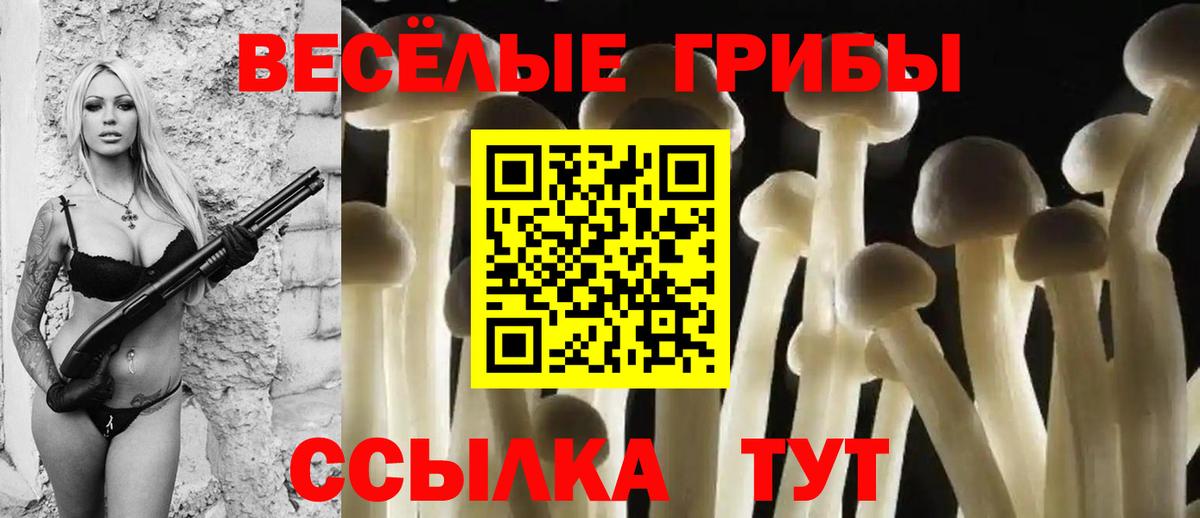 Псилоцибиновые грибы мицелий Татарск